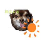 くるみとこのみ。（個別スタンプ：2）