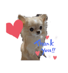 くるみとこのみ。（個別スタンプ：3）