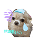 くるみとこのみ。（個別スタンプ：5）