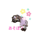 くるみとこのみ。（個別スタンプ：7）