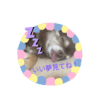 くるみとこのみ。（個別スタンプ：11）
