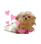 くるみとこのみ。（個別スタンプ：14）