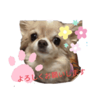 くるみとこのみ。（個別スタンプ：15）