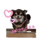 くるみとこのみ。（個別スタンプ：23）