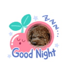 ももちっぷ（個別スタンプ：4）