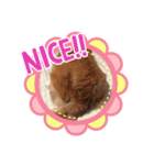 ももちっぷ（個別スタンプ：7）