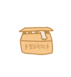 うちの猫マンゴー（個別スタンプ：1）
