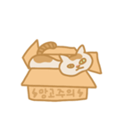 うちの猫マンゴー（個別スタンプ：2）