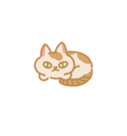 うちの猫マンゴー（個別スタンプ：7）