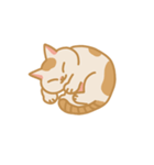 うちの猫マンゴー（個別スタンプ：10）