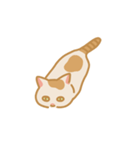 うちの猫マンゴー（個別スタンプ：17）