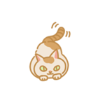 うちの猫マンゴー（個別スタンプ：18）
