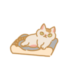 うちの猫マンゴー（個別スタンプ：22）