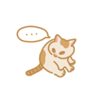 うちの猫マンゴー（個別スタンプ：24）