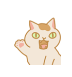うちの猫マンゴー（個別スタンプ：25）