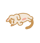 うちの猫マンゴー（個別スタンプ：26）