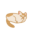 うちの猫マンゴー（個別スタンプ：27）