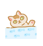 うちの猫マンゴー（個別スタンプ：32）