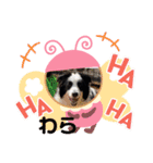 ケロレオ4（個別スタンプ：4）