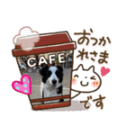 ケロレオ4（個別スタンプ：6）