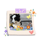 ケロレオ4（個別スタンプ：10）