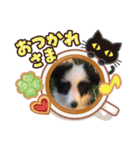 ケロレオ4（個別スタンプ：16）