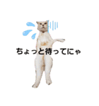 名前はテト。（個別スタンプ：4）