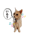 名前はテト。（個別スタンプ：9）