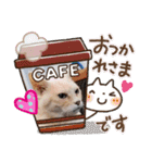 名前はテト。（個別スタンプ：10）