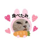 名前はテト。（個別スタンプ：11）