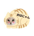 名前はテト。（個別スタンプ：13）