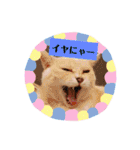 名前はテト。（個別スタンプ：14）