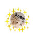 名前はテト。（個別スタンプ：15）