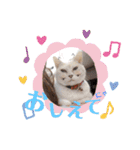 名前はテト。（個別スタンプ：18）