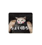名前はテト。（個別スタンプ：25）