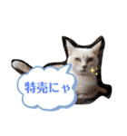 名前はテト。（個別スタンプ：26）