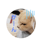 名前はテト。（個別スタンプ：28）