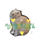 名前はテト。（個別スタンプ：30）