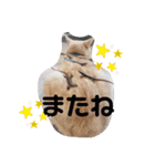 名前はテト。（個別スタンプ：31）