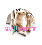 名前はテト。（個別スタンプ：32）