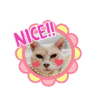 名前はテト。（個別スタンプ：36）
