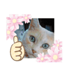 名前はテト。（個別スタンプ：38）
