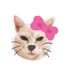 名前はテト。（個別スタンプ：39）