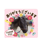 道産子ラッシュのつぶやき！（個別スタンプ：4）