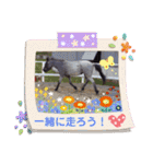 道産子ラッシュのつぶやき！（個別スタンプ：13）