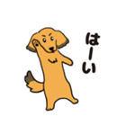 ダックス犬マロン君 02（個別スタンプ：1）