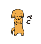 ダックス犬マロン君 02（個別スタンプ：3）