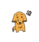 ダックス犬マロン君 02（個別スタンプ：4）