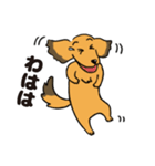 ダックス犬マロン君 02（個別スタンプ：5）