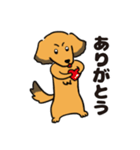 ダックス犬マロン君 02（個別スタンプ：6）